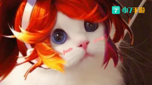 王者荣耀猫咪头像